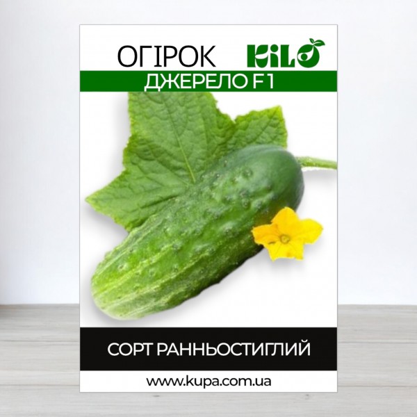 Насіння огірка Родничок F1 інкрустований., 100г